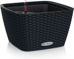 LECHUZA BACINO Cottage - Plantenbak - met uitneembare binnenbak - met bewateringssysteem - ALL-IN-ONE set met LECHUZA-PON - grafietzwart