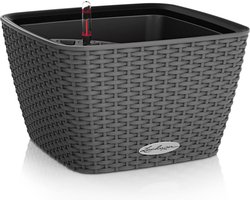 LECHUZA BACINO Cottage - Plantenbak - met uitneembare binnenbak - met bewateringssysteem - ALL-IN-ONE set met LECHUZA-PON - graniet
