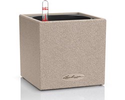 LECHUZA CANTO Stone 14 - Plantenbak - met uitneembare binnenbak - met bewateringssysteem - ALL-IN-ONE set met LECHUZA-PON - zandbeige