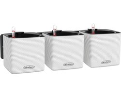 LECHUZA CUBE Color GREEN WALL HOME KIT - Plantenbakken - met uitneembare binnenbak - met bewateringssysteem - ALL-IN-ONE set - wit