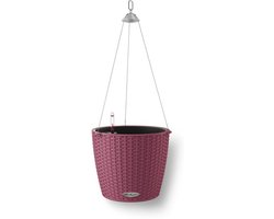 LECHUZA NIDO Cottage 28 - Plantenbak - met uitneembare binnenbak - met bewateringssysteem - ALL-IN-ONE set met LECHUZA-PON - lila Limited Edition