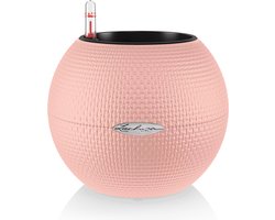 LECHUZA PURO COLOR 20 - Plantenbak - met uitneembare binnenbak - met bewateringssysteem - ALL-IN-ONE set met LECHUZA-PON - framboos limited edition