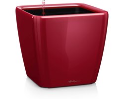 LECHUZA QUADRO Premium LS 21 - Plantenbak - met uitneembare binnenbak - met bewateringssysteem - ALL-IN-ONE set met LECHUZA-PON - scharlakenrood hoogglans
