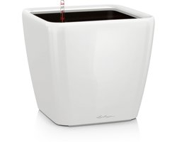 LECHUZA QUADRO Premium LS 50 - Plantenbak - met uitneembare binnenbak - met bewateringssysteem - ALL-IN-ONE set met LECHUZA-PON - wit hoogglans