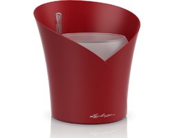 LECHUZA - UIT ASSORTIMENT