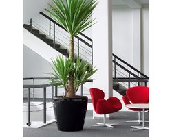 LECHUZA - UIT ASSORTIMENT