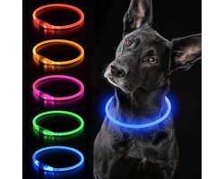LED Halsband Hond - Honden Verlichting - USB Oplaadbaar Licht - 1 Stuk - Nachtwandelingen blauw