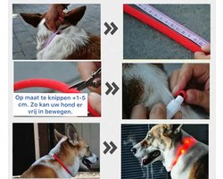 Led Halsband Hond Usb Oplaadbaar 20-50 CM - Groen - Led Honden Halsband - Extra Small tm Extra Large - Universeel - Honden lampje - Honden Licht - Honden Veiligheid - Lichtgevende Halsband Hond