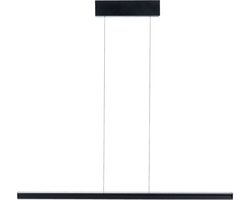 LED-hanglamp Lesko RGBW+ dimbaar 1400lm / 120lm 19W / 3W Zwart mat