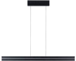 LED-hanglamp Raiko RGBW+ dimbaar 1400lm / 240lm 19W / 6W Zwart