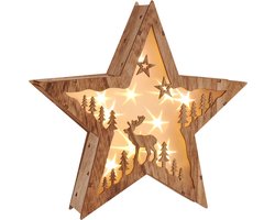 LED kerstster verlichting voor raam met 10 warmwitte LEDs