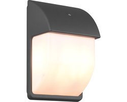 LED Tuinverlichting met Dag en Nacht Sensor - Buitenlamp - Trion Menaki - E14 Fitting - Spatwaterdicht IP44 - Ovaal - Mat Antraciet - Aluminium