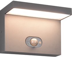LED Tuinverlichting - Wandlamp Buitenlamp - Torna Byl - 5W - Aanpasbare Lichtkleur - Schemeringsensor - Bewegingssensor - Oplaadbare Batterijen - Antraciet - Aluminium