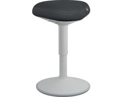 Leitz Ergo Active Zitkruk met Comfortzitting - Bureaukruk - Ergonomische Kruk - Grijs