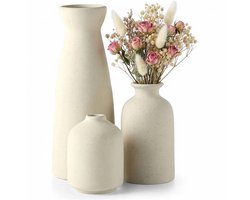 Lemlit Keramische Vazen Set 3 Stuks - Kleine Bloemenvaasjes voor Pampasgras en Gedroogde Bloemen - Decoratieve Vazen voor Plank Tafel Boekenkast en Hal - Naturel
