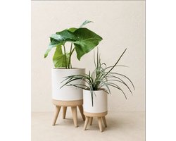 LENTRA Plantenpot Set 2 Stuks met Pootjes – Bloempot met Waterreservoir – Slimme Plantenpot Binnen – Kamerplant Monstera Pothos – Planten Cadeau