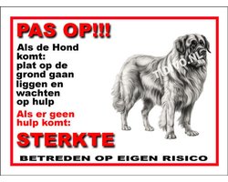 Leonberger 12