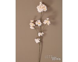 Let's Bloøm| Zijden Bloesem | kunst bloesem | Creme | Zalm | Flower Ambiance | Kunst bloem | Zijden bloem| Bloesem | Voorjaar | Kunst tak | Bloemsem tak