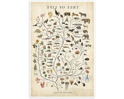 Levensboom Poster - Wanddecoratie Illustratie - Woning Verfraaien - Premium Papier 250 g/m² - 90 x 130 cm - Beige