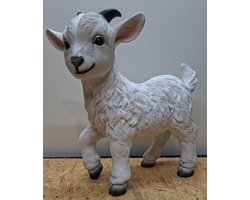 Levensechte Geit met pootje omhoog beeld - 45cm hoog - polyresin - polystone - Decoratie - Woonaccessoires - Beeld - Boerderijdieren