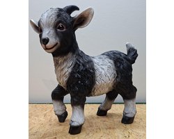 Levensechte Geit zwartwit met pootje omhoog beeld - 45cm hoog - polyresin - polystone - Decoratie - Woonaccessoires - Beeld - Boerderijdieren
