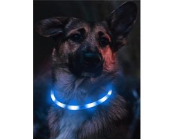 Lichtgevende LED Halsband Hond - Hondenriem Verlichting Oplaadbaar - Hondenverlichting Halsbanden Lichtgevend - One Size Fits All