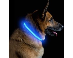 Lichthalsband voor honden