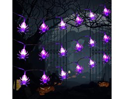 Lichtsnoer - Paars - 20 LEDs - Decoratief Verlichtingssnoer voor Halloween - Voor Binnen en Buiten