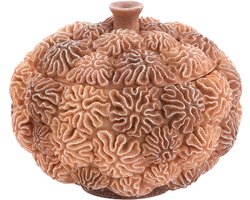 Light & Living - Deco box+deksel CORAL - Ø20x15.5cm - Bruin