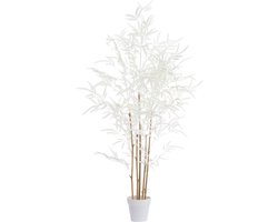 Light & Living - Kunstplant BAMBOO - 70x60x120cm - Bruin