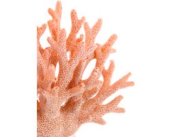 Light & Living - Ornament CORAL - 19.5x8.5x15.5cm - Roze