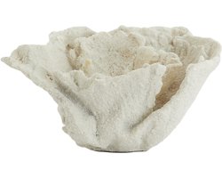 Light & Living - Ornament CORAL - 23x16x13cm - Wit