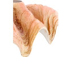 Light & Living - Ornament SHELL - 41x25x17cm - Oranje