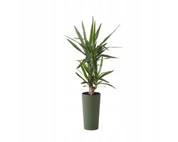 Lilia Jumper Eco Houten Pot 25cm x 46cm - Gerecycled Materiaal