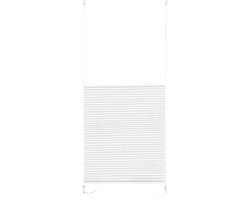 Livarno Home Plissé-gordijn 60 x 130cm wit