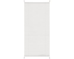 Livarno home plissé Gordijn 80 x 130cm Wit
