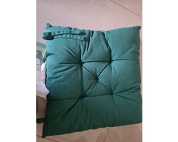 Livarno home zitkussen 35 x 35 cm Groen