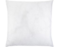 LIVARNO hoofdkussen, 80 x 80 cm
