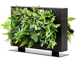 LiveDivider Plus 1 zwart - groen kamerscherm - groene room divider - Wit