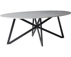 Livingfurn - Eetkamertafel DT- Marble Oval Web White 200cm - Marmer / Gecoat Staal