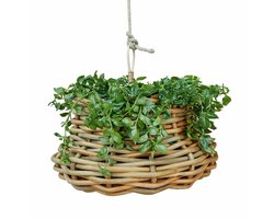 LOBERON Hangmand Villaz bruin