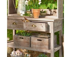 LOBERON Plantentafel Landover bruin
