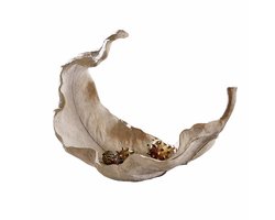 LOBERON Schaal Vibius beige