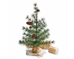 LOBERON Sierboom Bohicon groen/bruin