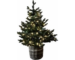 LOBERON Sierboom Mantilly groen