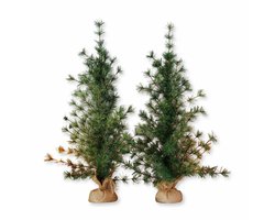 LOBERON Sierboom set van 2 Bohicon groen/bruin