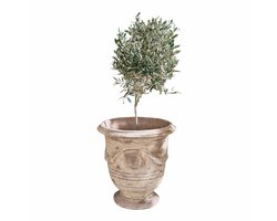 LOBERON Sierpot Garwood antiekbeige