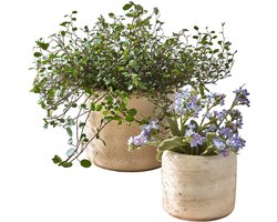 LOBERON Sierpot set van 2 Maybelles antiekbeige