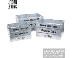 "LOFT & METAL" – Set van 3 Decoratieve Metalen Kisten – Kleur Grijs – Verschillende Maten