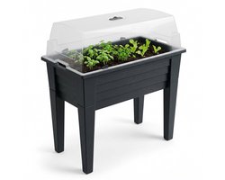 Lomera Kweektafel Op Poten Met Deksel - Verhoogde Kweekbak Kunststof Antraciet - Moestuinbak Met Afneembare Poten - Kweekkas Moestuintafel Groeitafel Kruidentafel Plantenbak